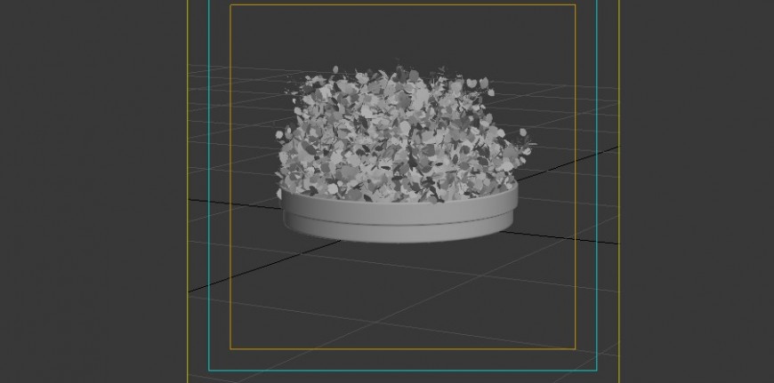  3d model of shrubs detail revit file